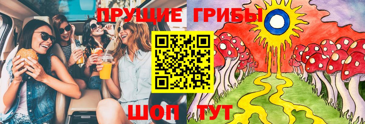 Псилоцибиновые грибы MAGIC MUSHROOMS  Вход с VPN  Псилоцибиновые грибы Psilocybe  Рассказово 